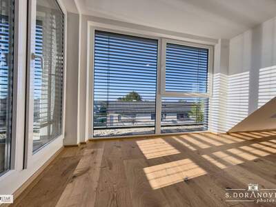 Wohnung mieten in 1220 Wien