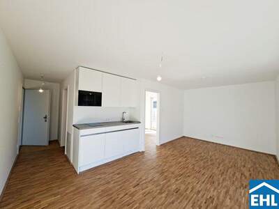 Terrassenwohnung mieten in 1220 Wien (Bild 3)