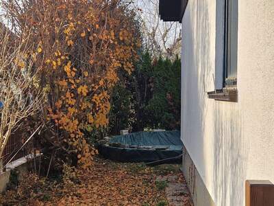 Haus mit Garten kaufen in 1220 Wien (Bild 3)