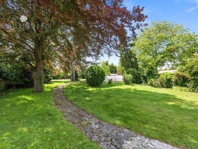 Einfamilienhaus kaufen in 2222 Bad Pirawarth (Bild 1)