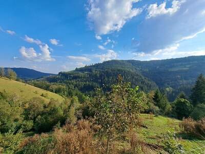 Gewerbeobjekt kaufen in 8573 Hemmerberg (Bild 1)