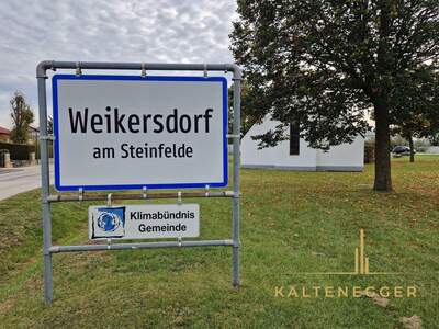 Grundstück kaufen in 2722 Weikersdorf (Bild 3)