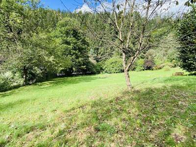 Grundstück kaufen in 8741 Weißkirchen (Bild 1)