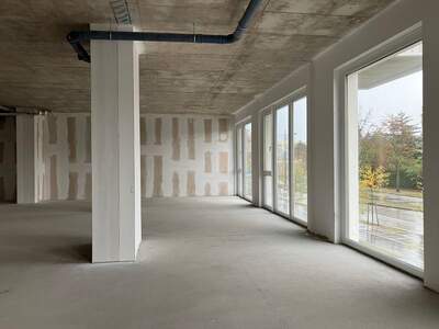 Gewerbeobjekt mieten in 1230 Wien (Bild 2)