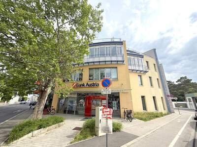 Gewerbeobjekt mieten in 2340 Mödling