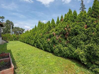 Grundstück kaufen in 2380 Perchtoldsdorf