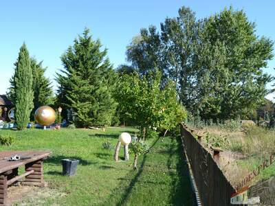 Grundstück kaufen in 2482 Münchendorf (Bild 5)