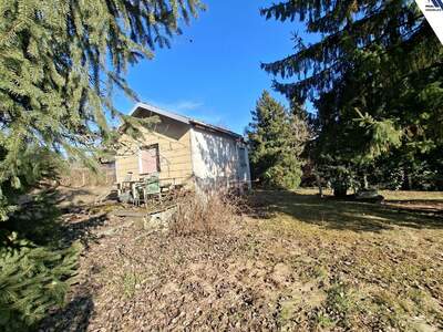 Gewerbeobjekt kaufen in 4060 Leonding (Bild 5)