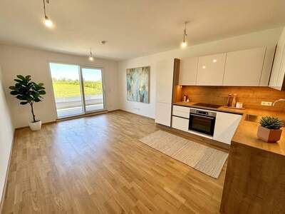 Wohnung mieten in 7091 Breitenbrunn