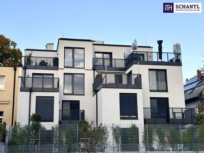 Terrassenwohnung kaufen in 1170 Wien (Bild 3)