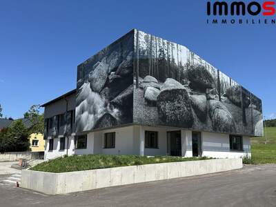 Gewerbeobjekt mieten in 4210 Gallneukirchen