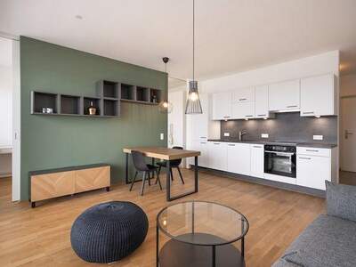 Terrassenwohnung mieten in 8020 Graz (Bild 3)