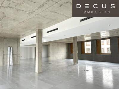 Büro / Praxis mieten in 1230 Wien (Bild 3)