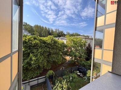 Wohnung mieten in 4470 Enns