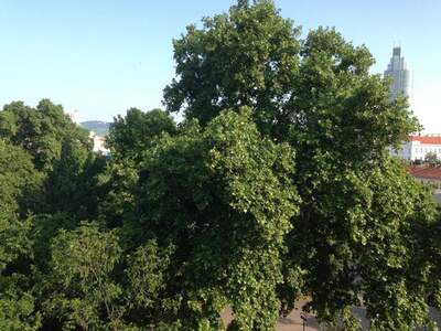 Eigentumswohnung in 1200 Wien (Bild 2)