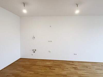 Terrassenwohnung kaufen in 1230 Wien (Bild 5)