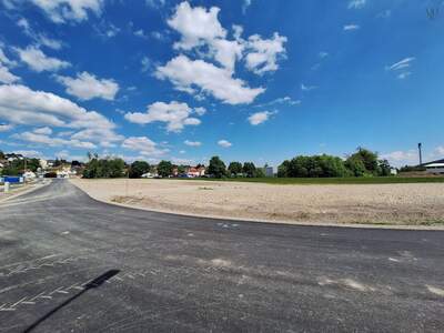 Gewerbeobjekt kaufen in 2560 Berndorf (Bild 4)