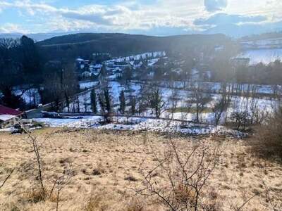 Grundstück kaufen in 2630 Pottschach