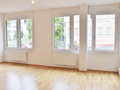 Apartment provisionsfrei mieten in 1190 Wien