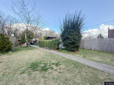 Haus mit Garten mieten in 1020 Wien (Bild 3)