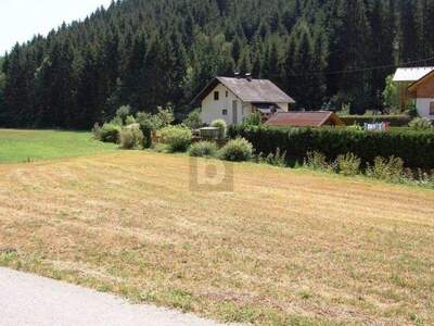 Grundstück kaufen in 9433 St. Andrä (Bild 1)