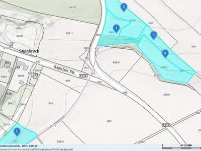 Grundstück kaufen in 2620 Raglitz