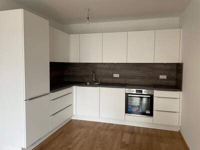 Terrassenwohnung mieten in 3423 St. Andrä (Bild 1)