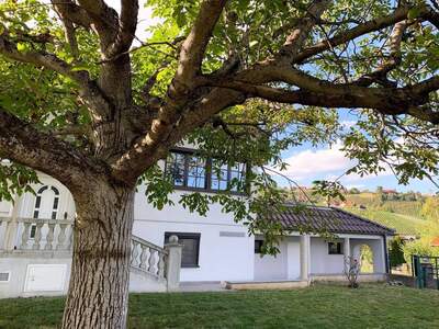 Haus kaufen in 8511 Sankt Stefan