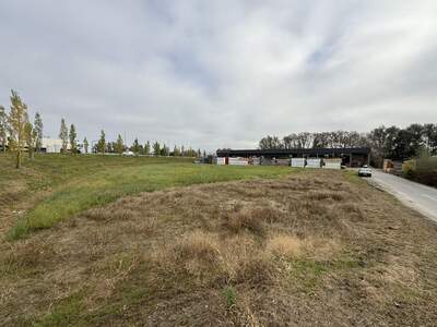 Gewerbeobjekt kaufen in 6971 Hard (Bild 2)