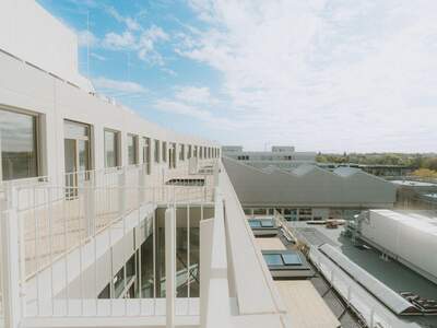 Gewerbeobjekt mieten in 1230 Wien (Bild 3)