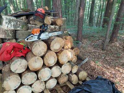 Gewerbeobjekt kaufen in 8282 Bad Loipersdorf (Bild 3)