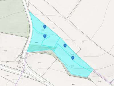 Grundstück kaufen in 2620 Raglitz