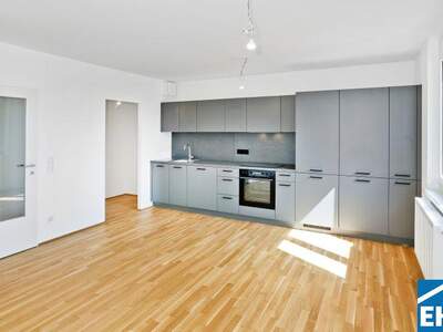 Terrassenwohnung mieten in 1220 Wien (Bild 3)