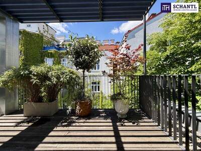 Terrassenwohnung kaufen in 1080 Wien (Bild 1)