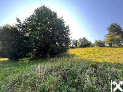 Grundstück kaufen in 4441 Behamberg (Bild 3)
