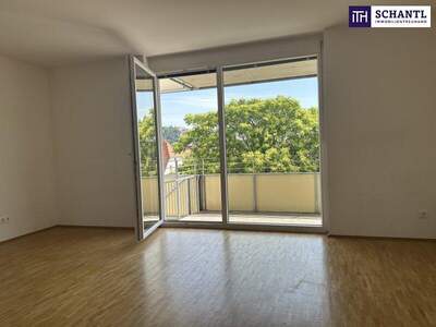 Terrassenwohnung mieten in 8020 Graz (Bild 5)