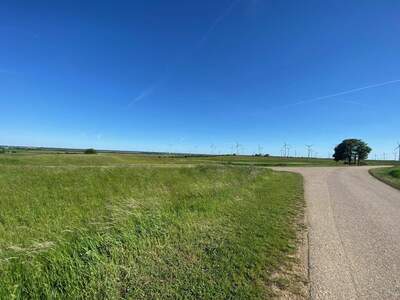 Grundstück kaufen in 2425 Nickelsdorf