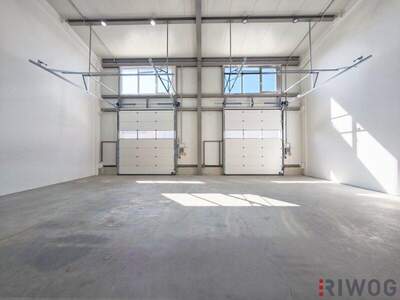 Produktion mieten in 3425 Langenlebarn (Bild 3)