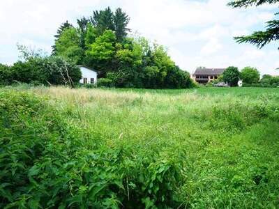 Grundstück kaufen in 3133 Traismauer