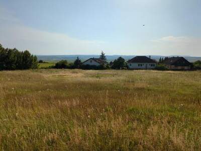 Grundstück kaufen in 3580 Horn