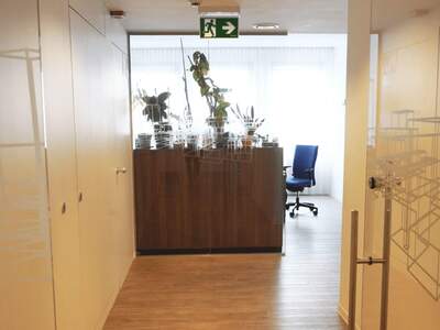 Gewerbeobjekt mieten in 1070 Wien (Bild 4)