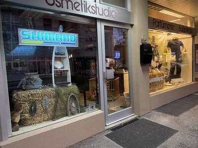 Gewerbeobjekt provisionsfrei kaufen in 6971 Hard