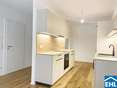 Terrassenwohnung kaufen in 2391 Kaltenleutgeben (Bild 3)