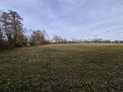 Gewerbeobjekt kaufen in 4950 Altheim