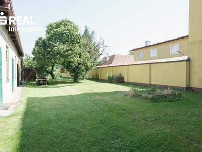 Mehrfamilienhaus kaufen in 7322 Lackenbach (Bild 3)