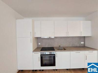 Terrassenwohnung mieten in 1110 Wien (Bild 3)