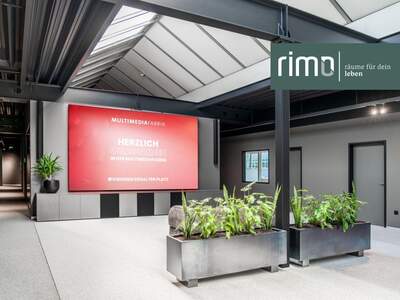 Gewerbeobjekt mieten in 6842 Koblach (Bild 2)