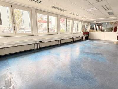 Gewerbeobjekt mieten in 2320 Schwechat