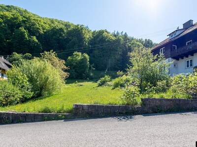 Grundstück kaufen in 4452 Ternberg (Bild 2)