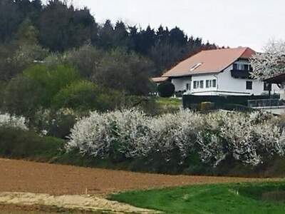 Haus kaufen in 8271 Bad Waltersdorf